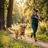 Beyond Joint Support: The Hidden Systems That Keep Pets Active