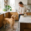 Building a Daily Wellness Routine Your Pet Will Love